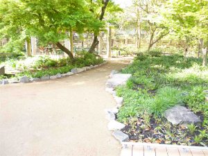 宝塚 庭園